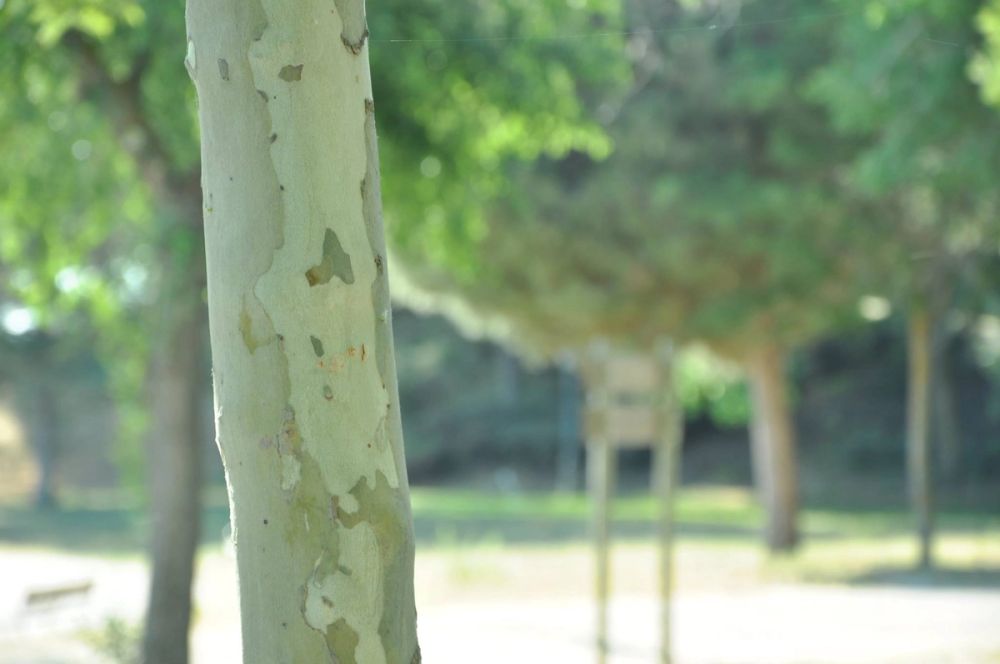 parque polvoranca (Leganes) 28-05-2015