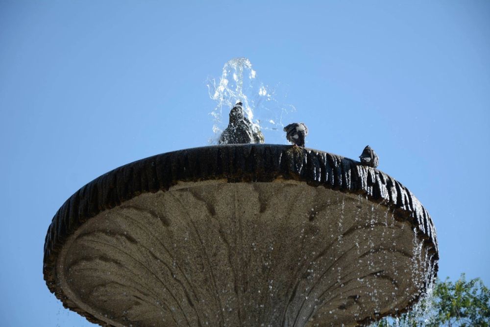 Parque del Retiro (Madrid) 18-08-2017