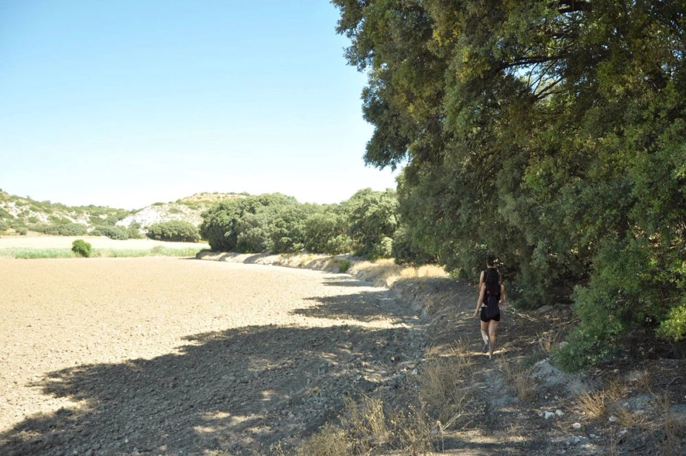 Valle de Lillo 2017