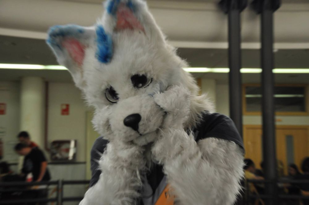 Cosplay Level Up Leon 2014