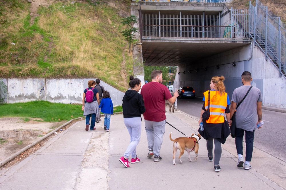 IV Ruta canina en Leganes 22-09-2019