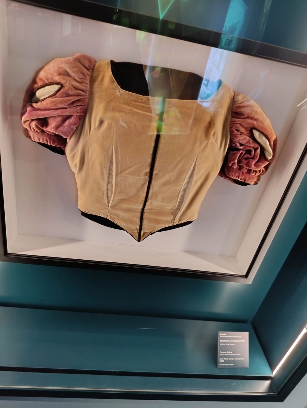 Exposicion The exhibicion Disney 100 anos de magia 2025