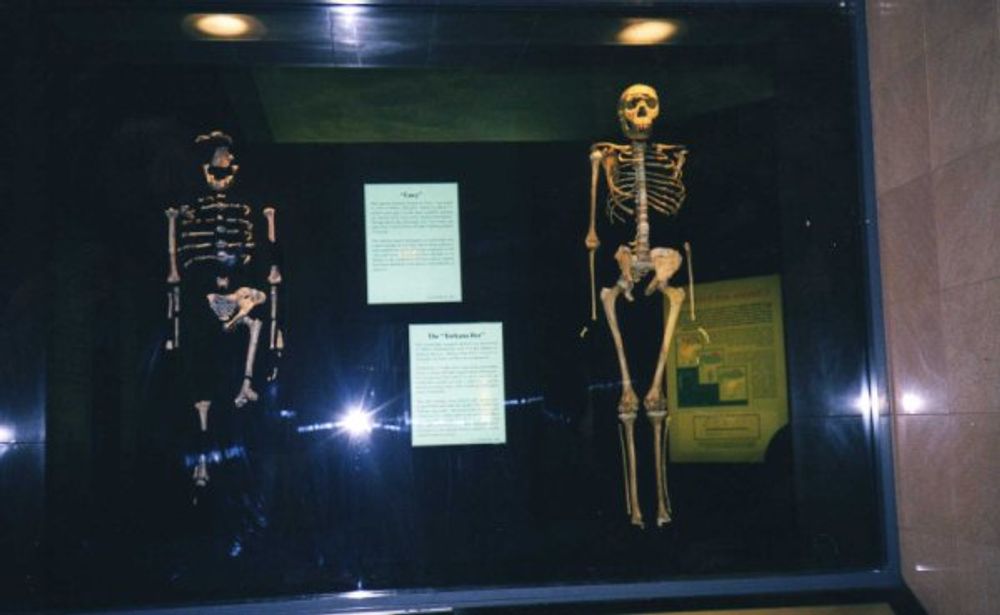 New York 2003
