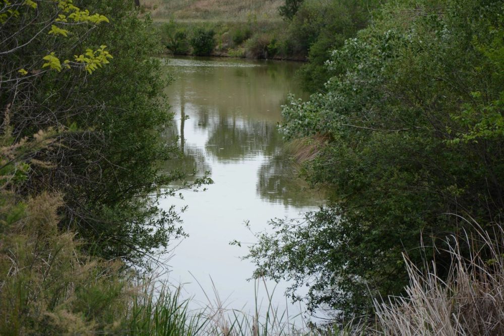 Naturaleza Parque polvoranca (Leganes) 10-06-2019