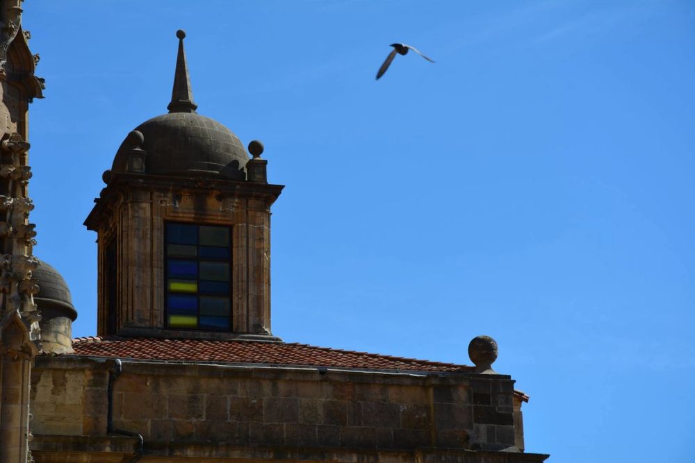 Oviedo 28-03-2017