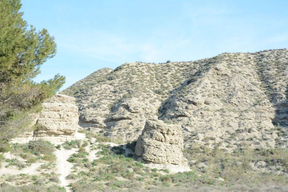 Parque del Pacadar (Rivas-vaciamadrid) 09-03-2017