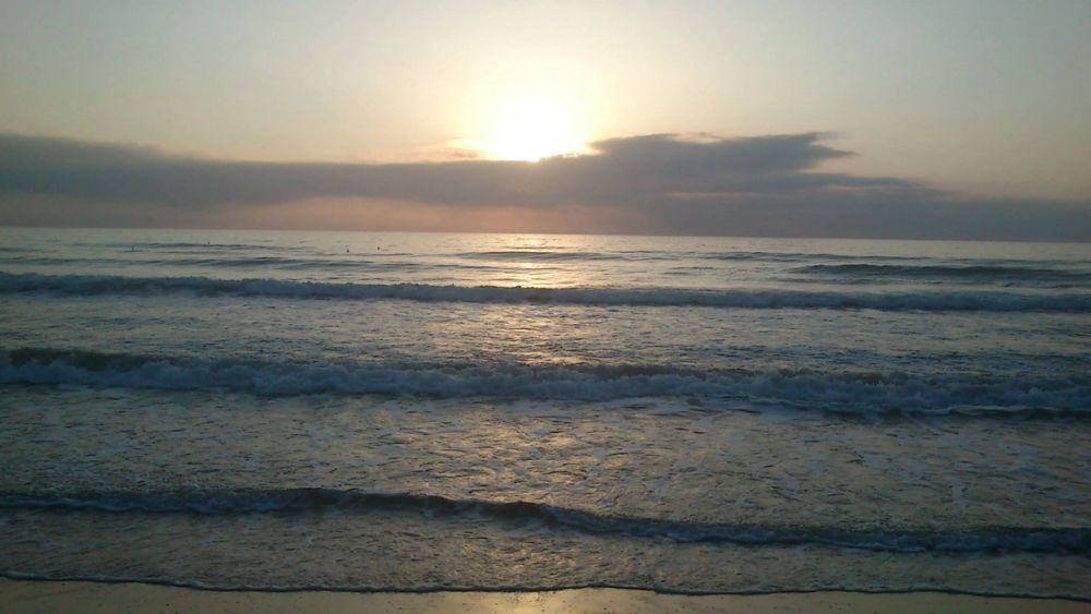Gandia 2013