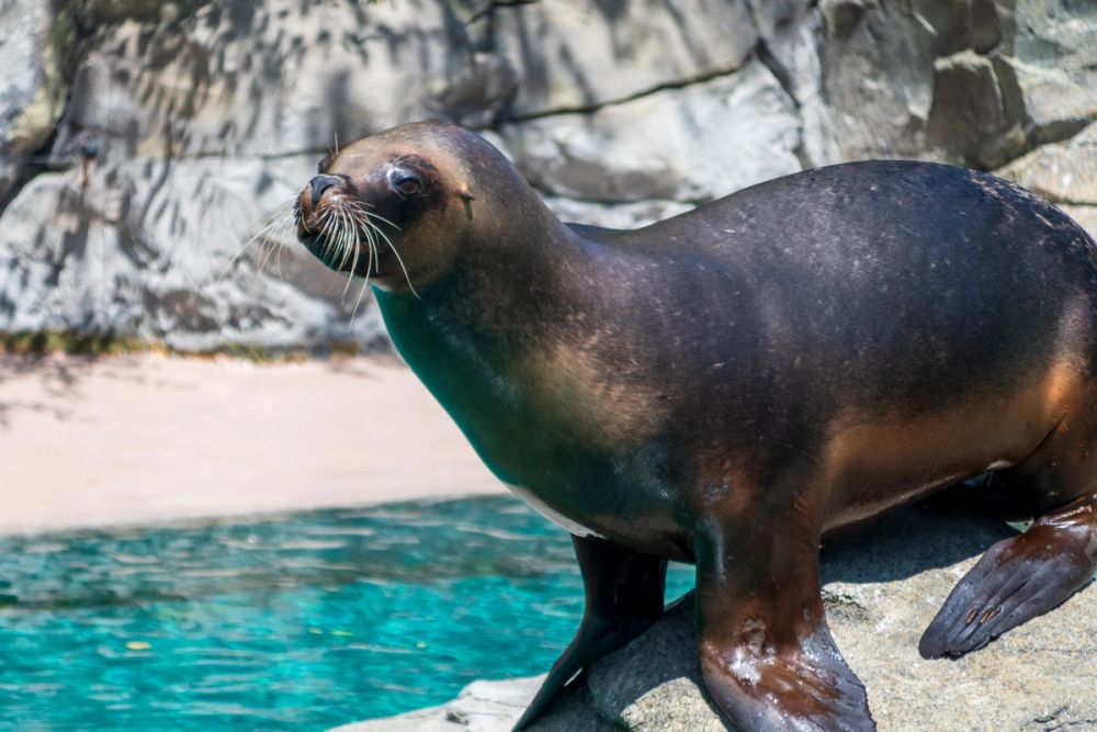 Zoo 17-08-2024