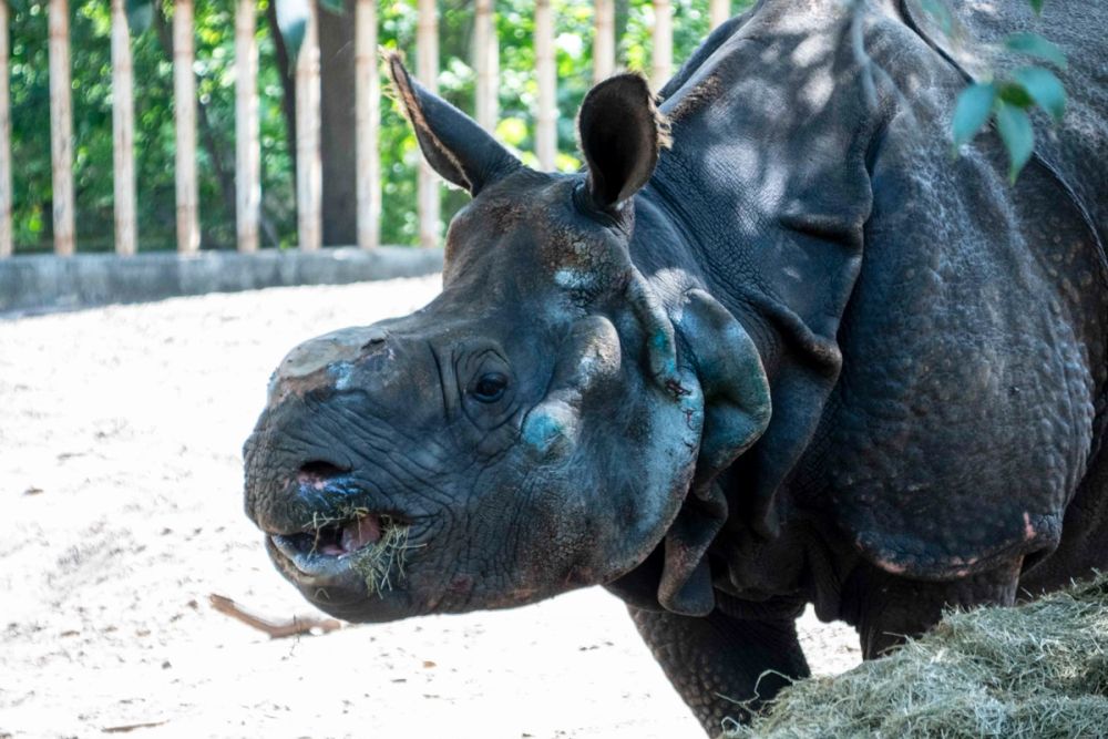 Zoo 29-07-2026