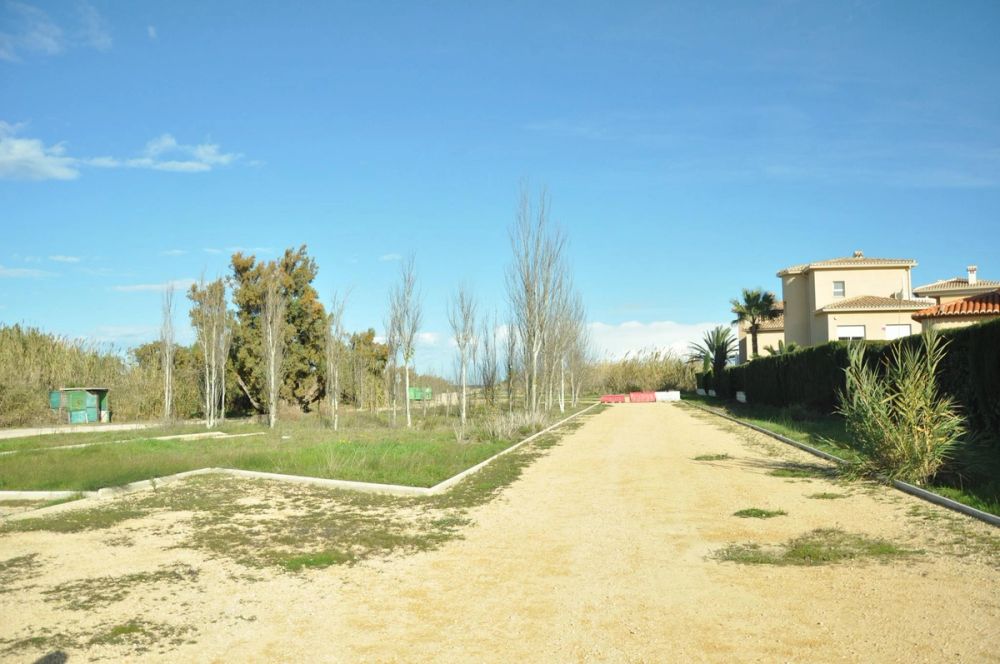 Oliva (Valencia) 15-12-2014