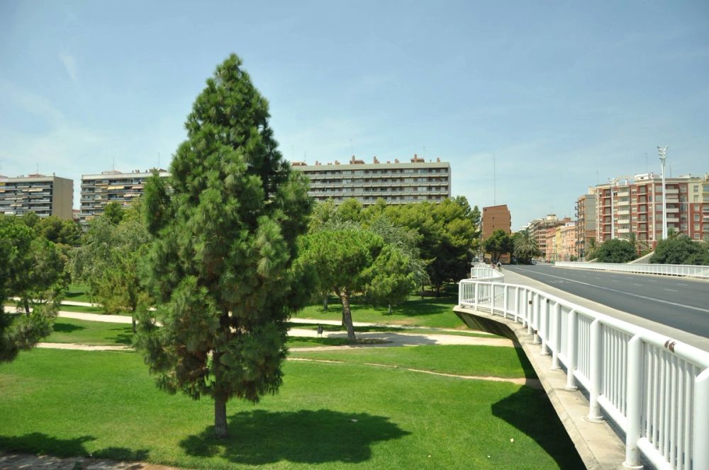 Valencia 2014
