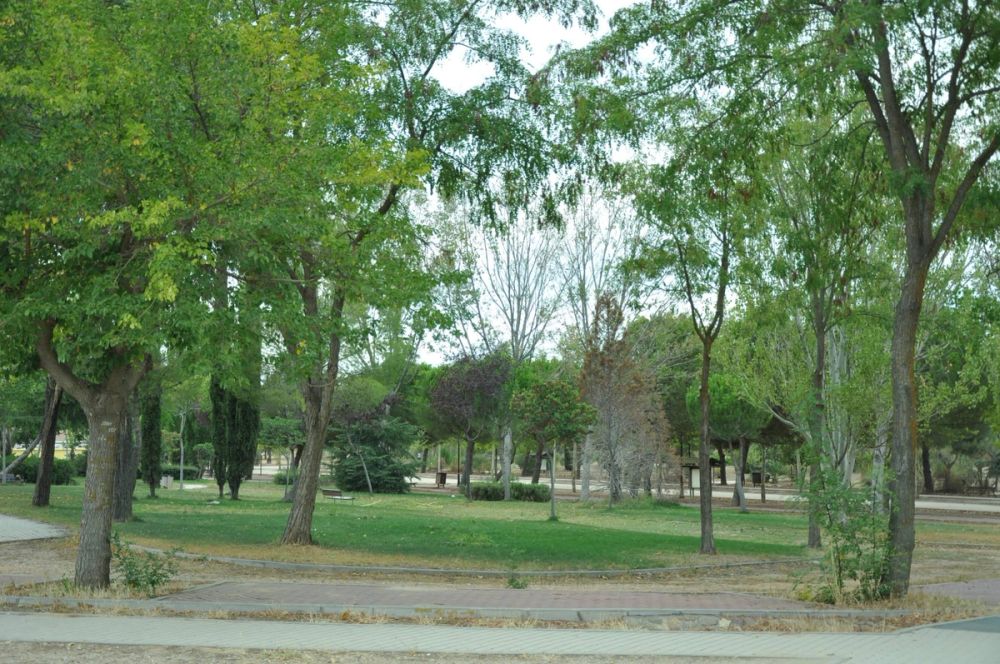 parque Polvoranca (Leganes) 30-08-2014