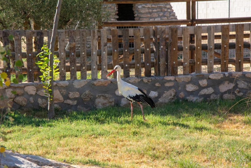 Zoo de Lillo 03-09-2022