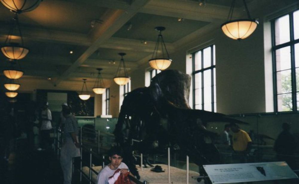 New York 2003