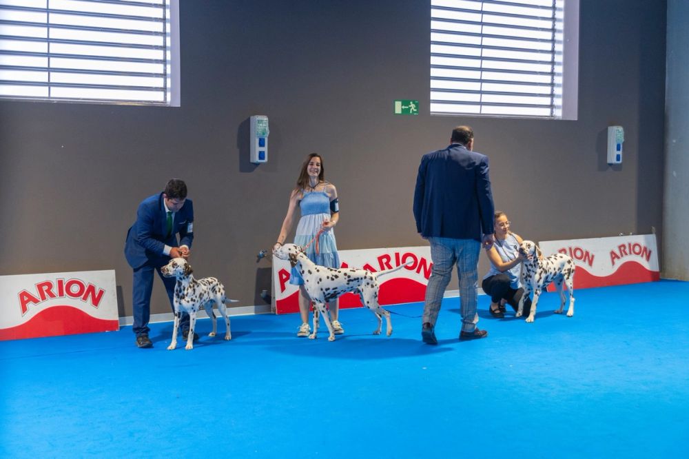 Exposicion canina (ciudad real) 02-06-2024