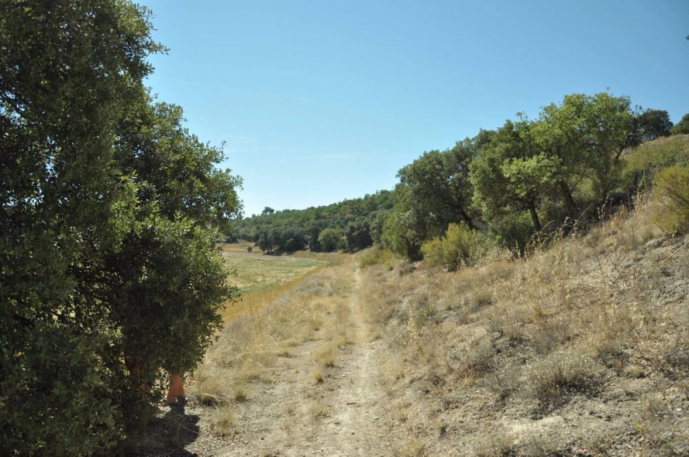 Valle de Lillo 2017