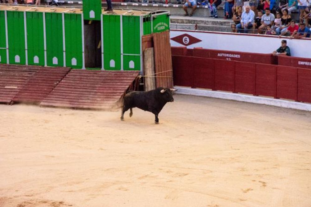 Toros en Colmenar Viejo 22-08-2019