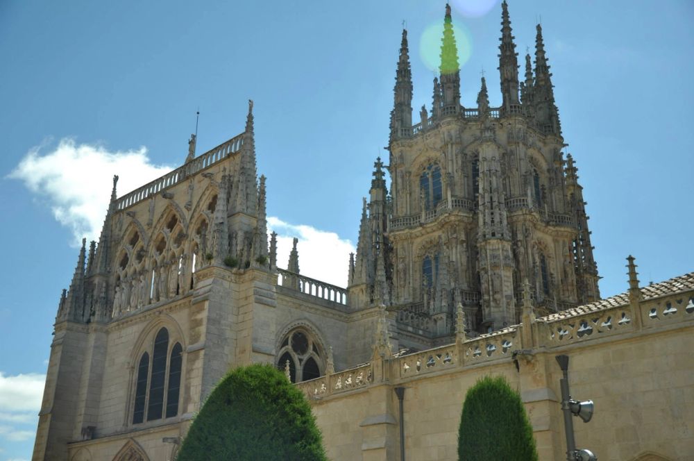 Burgos 2014