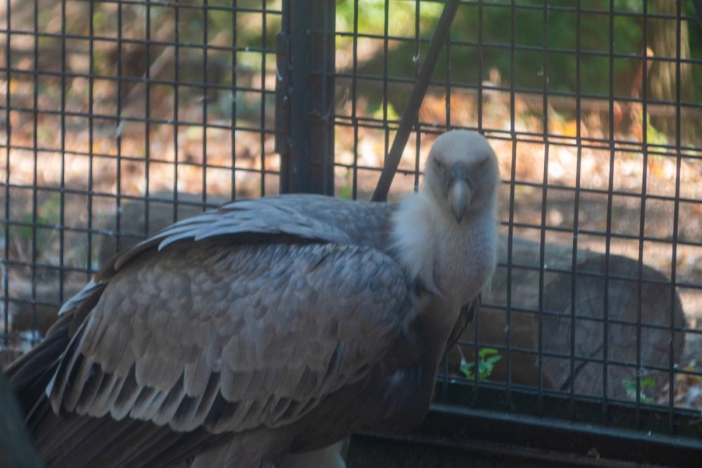 Zoo 17-08-2024