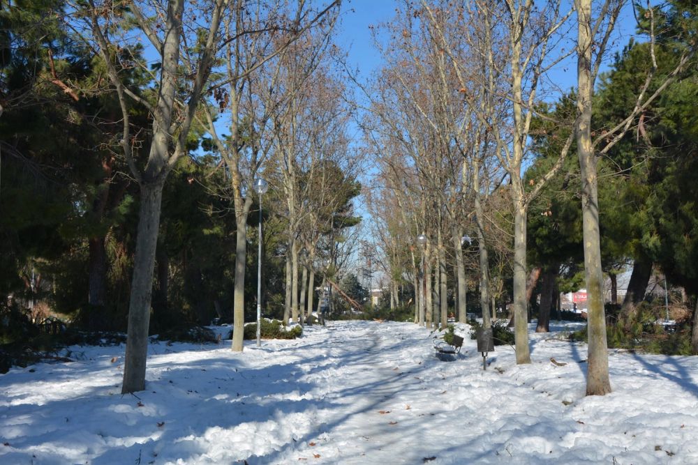 Leganes Nevado 2021 Dia 4