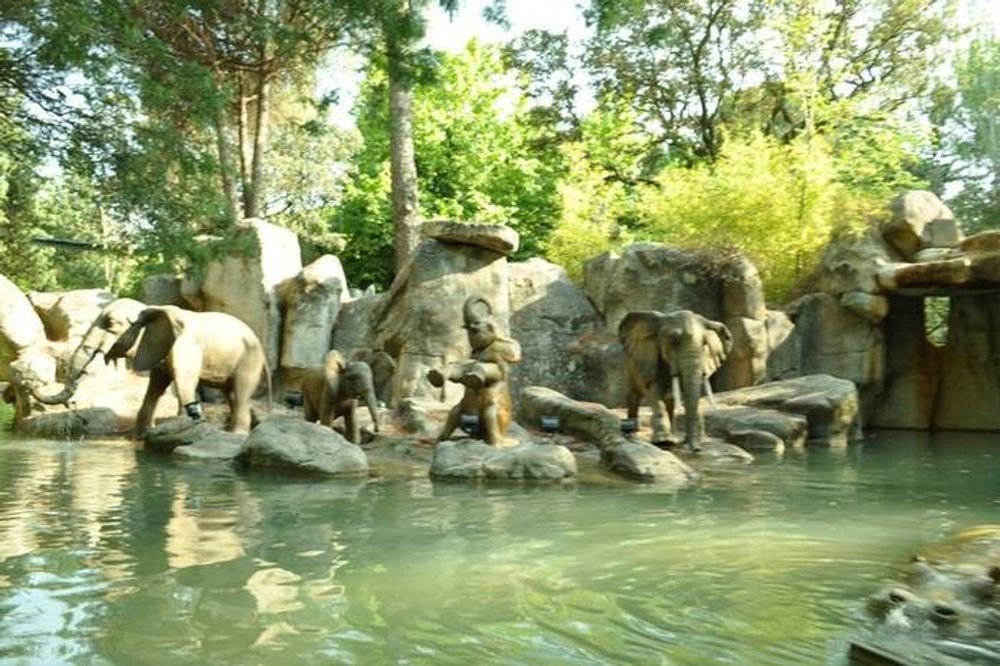 Parque de atracciones de madrid 2012