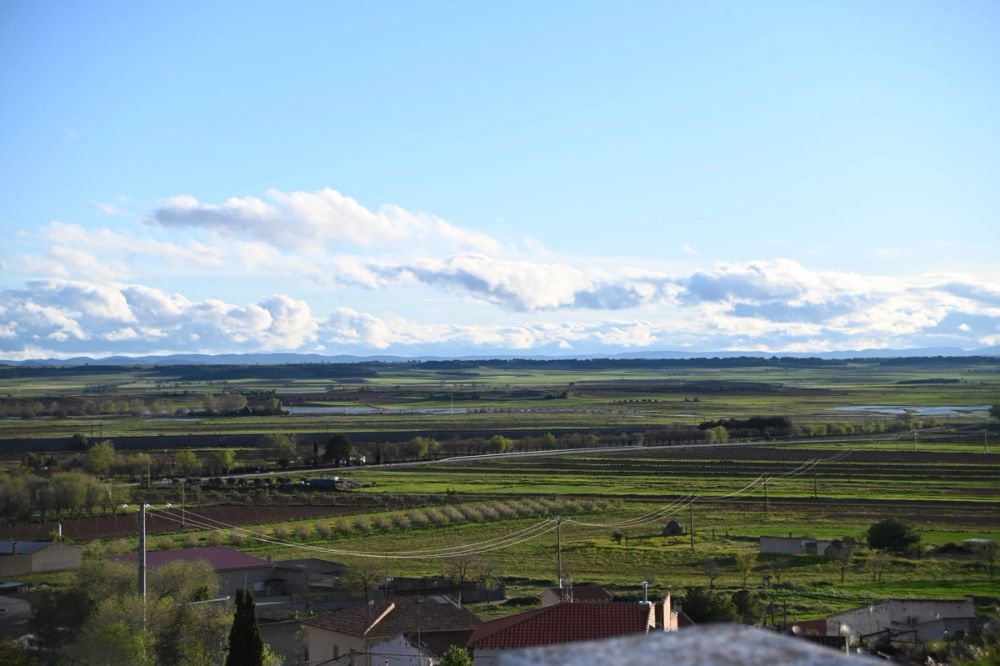 El romeral 29-03-2024