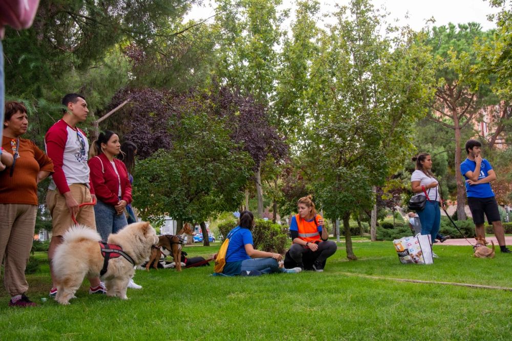 IV Ruta canina en Leganes 22-09-2019