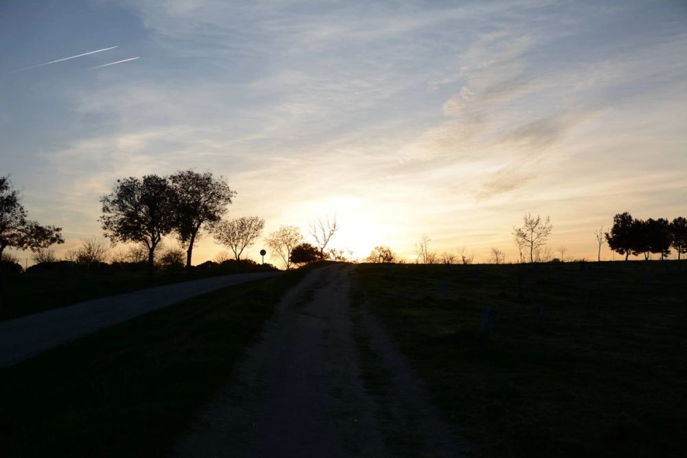 Parque Polvoranca (Leganes) 18-03-2017
