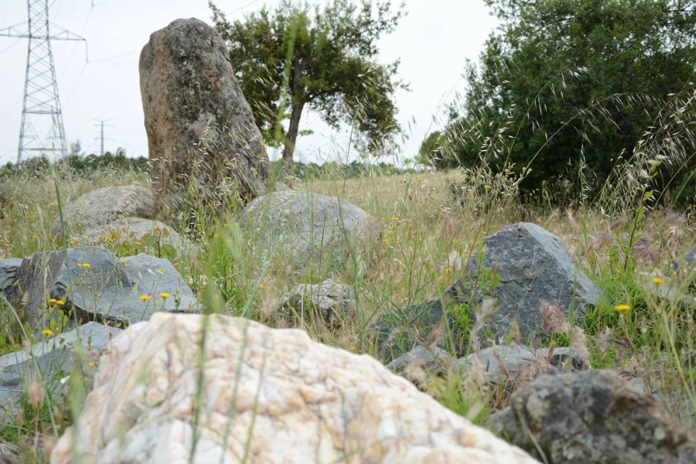 Parque polvoranca (Leganes) 10-06-2019