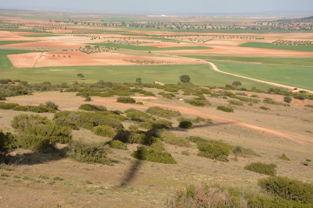 Cerro de San Anton, parque eolico y Ermita de San Anton (Lillo) 2017