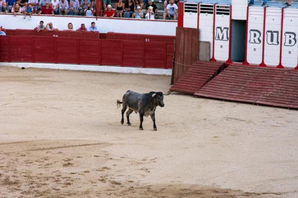 Toros en Colmenar Viejo 22-08-2019