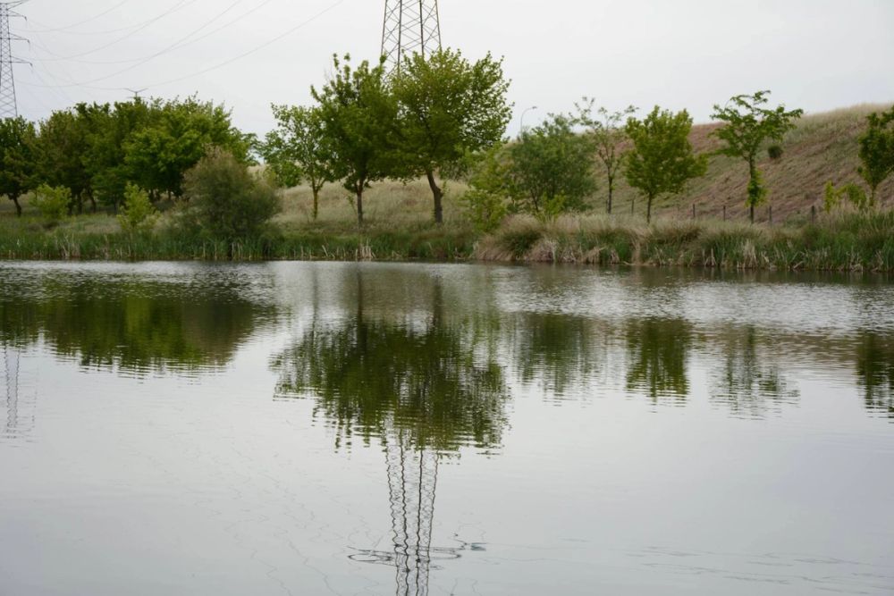 Naturaleza Parque polvoranca (Leganes) 10-06-2019