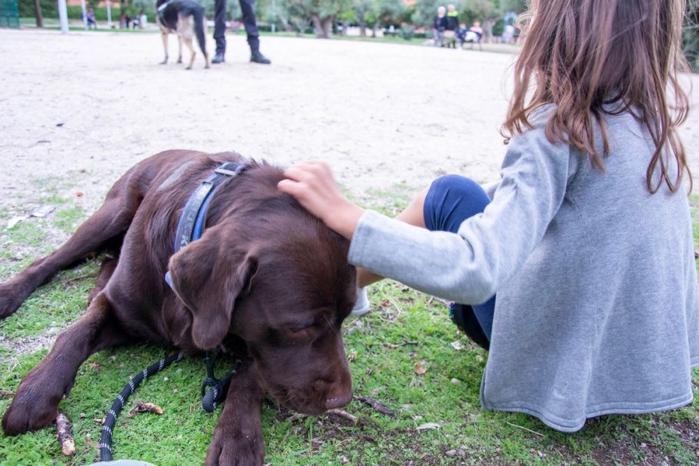Formacion de perro policia 22-09-2019