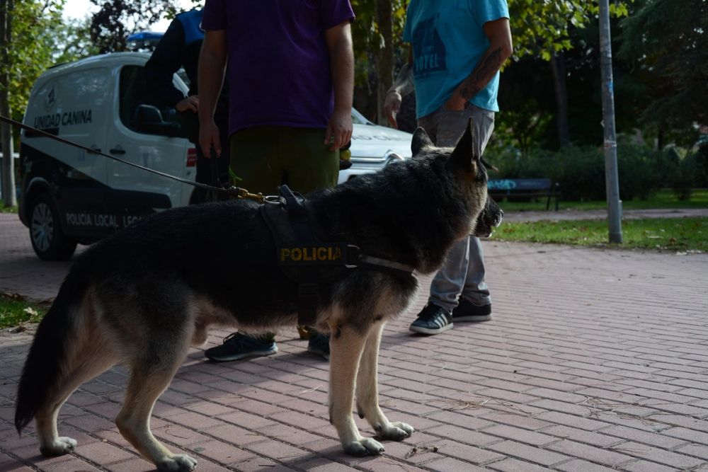 V ruta canina de Leganes 20-09-2020
