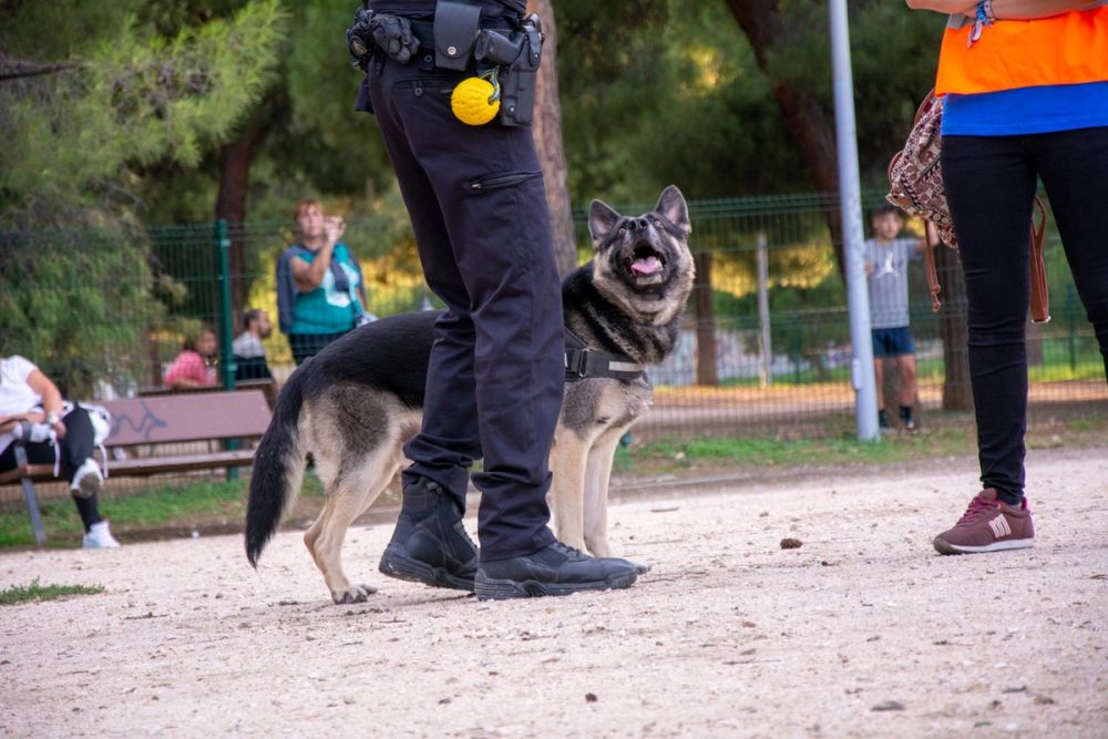 Formacion de perro policia 22-09-2019