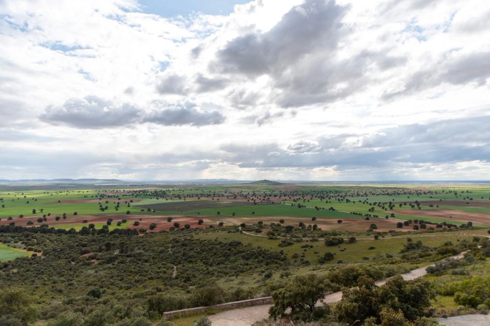 Sierra de Corral de Almaguer 03-05-2025