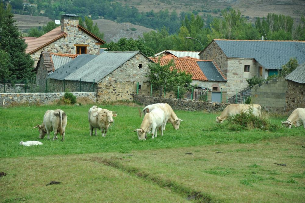 Babia (Leon/Asturias) 2014