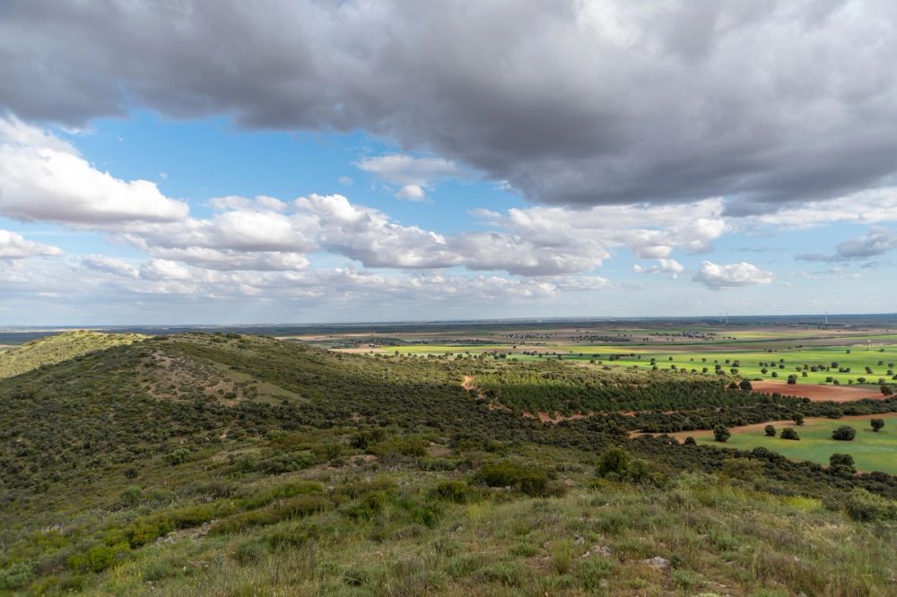 Sierra de Corral de Almaguer 03-05-2025