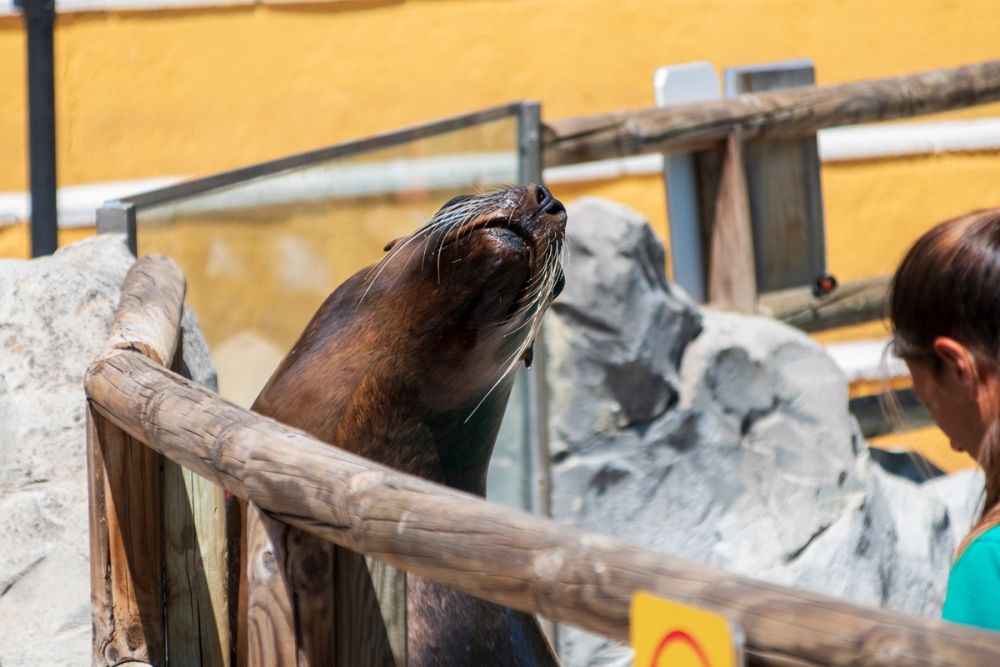 Zoo 17-08-2024