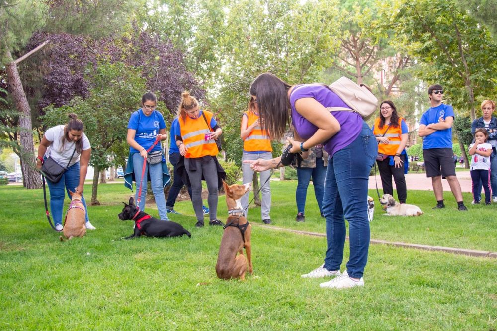IV Ruta canina en Leganes 22-09-2019