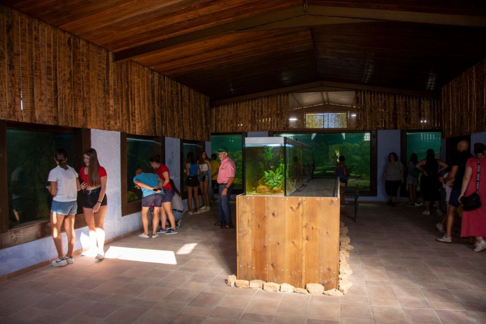 Zoo de Lillo 03-09-2022