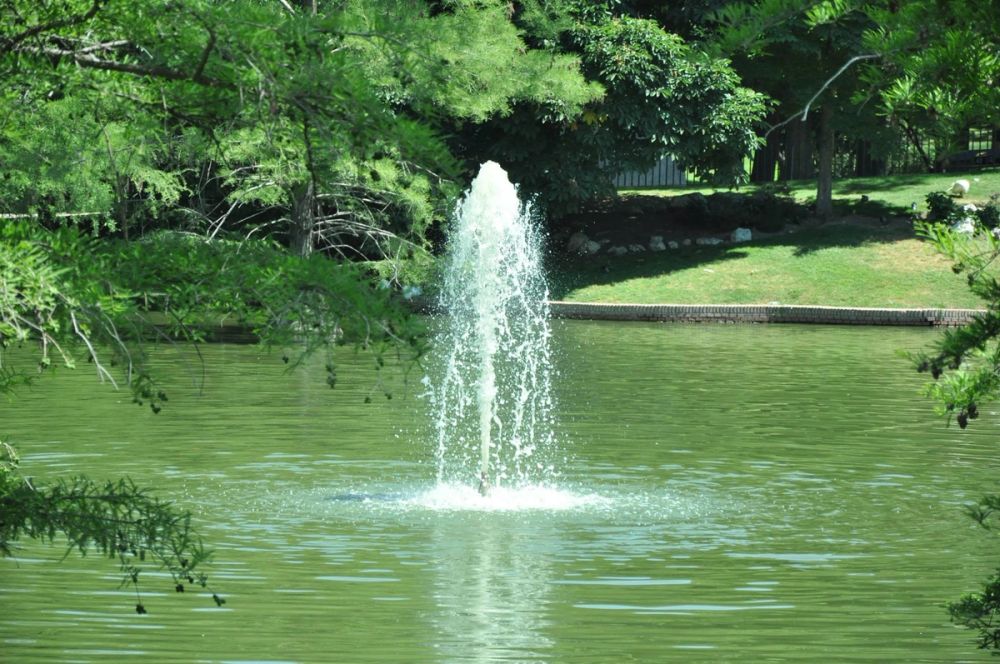 Parque del Retiro (Madrid) 30-05-2015