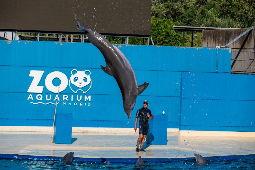 Zoo 17-08-2024