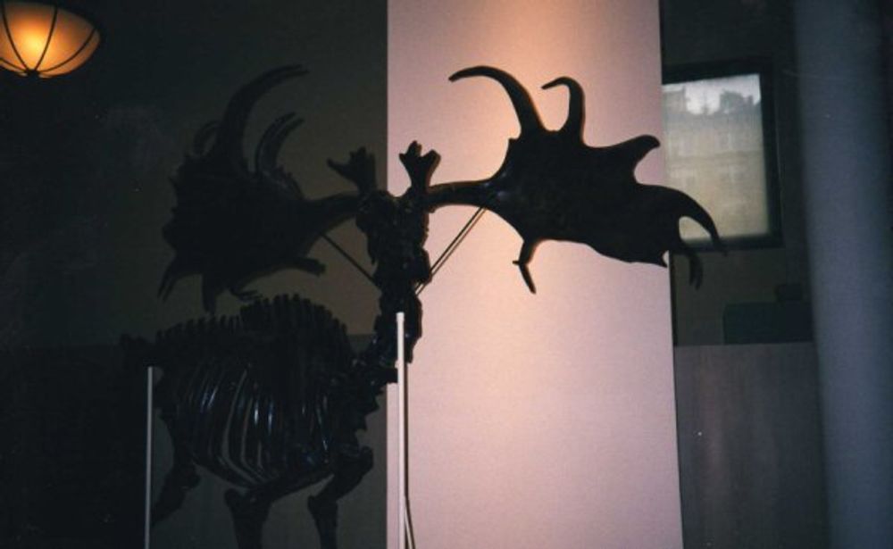 New York 2003