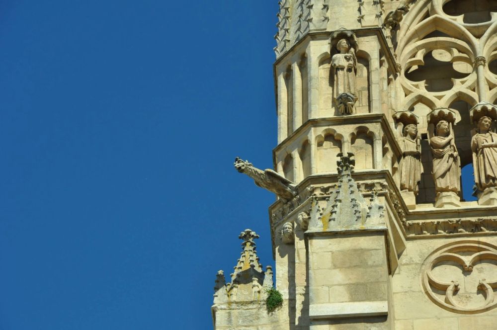 Burgos 2014