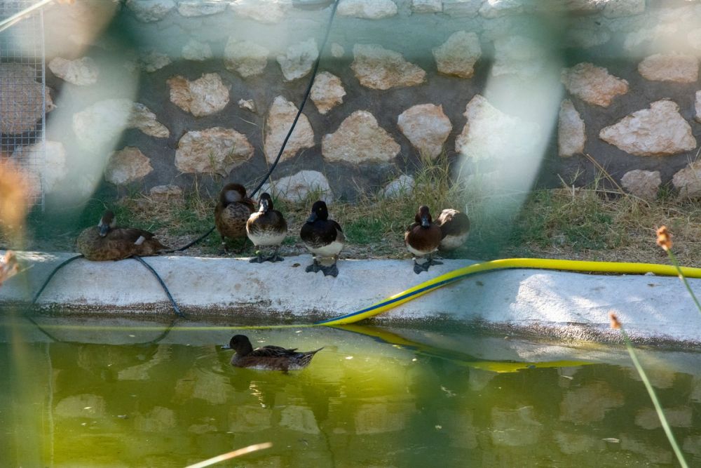 Zoo de Lillo 03-09-2022