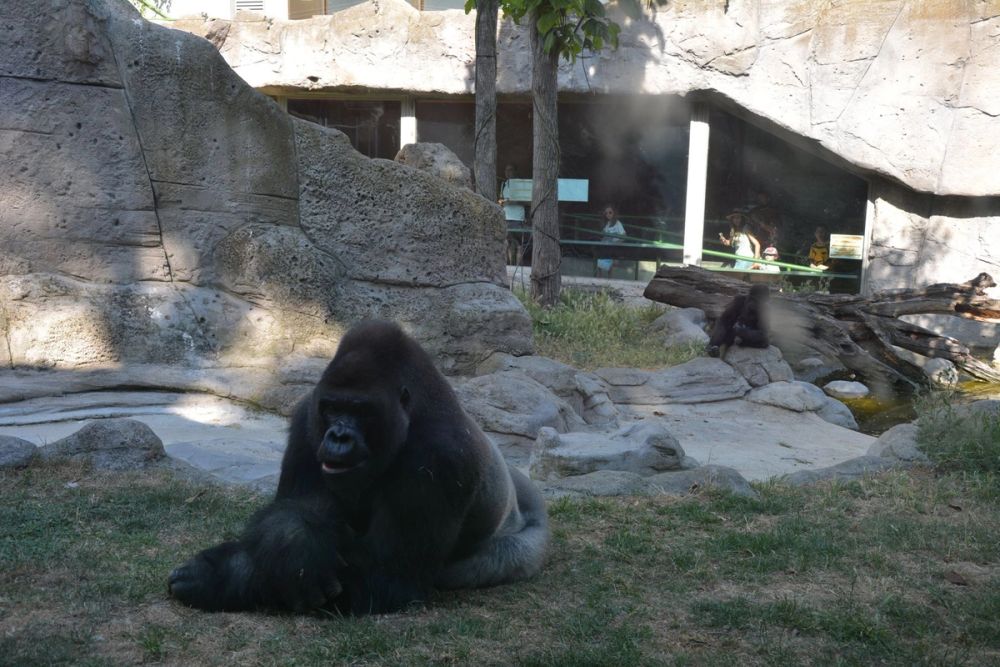 zoo 07-07-2018