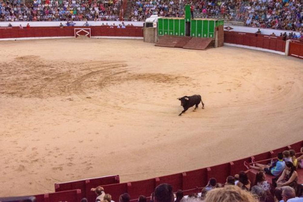 Toros en Colmenar Viejo 22-08-2019