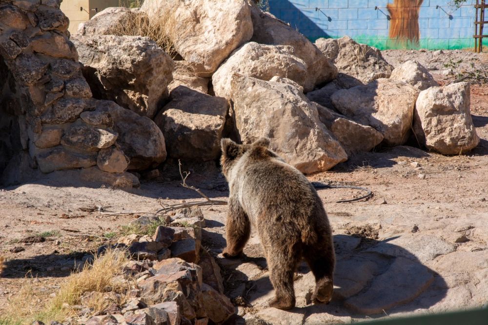 Zoo de Lillo 03-09-2022