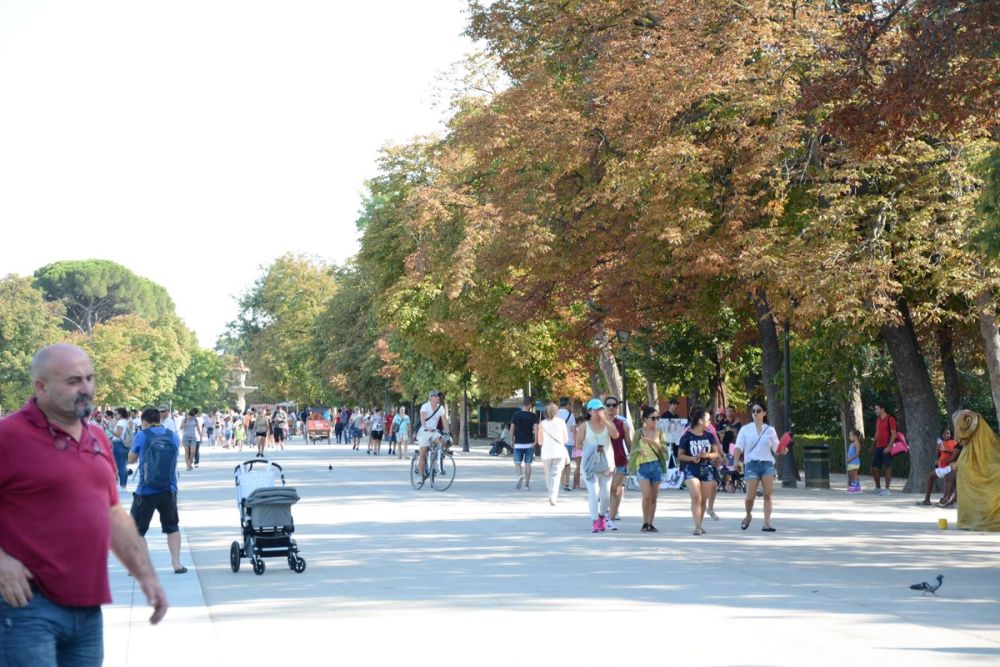 Parque del Retiro (Madrid) 18-08-2017